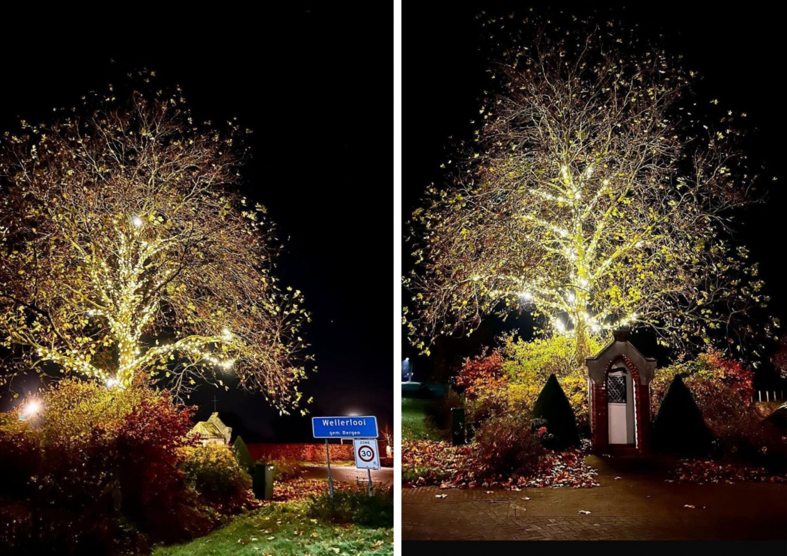 Kerstverlichting Wellerlooi